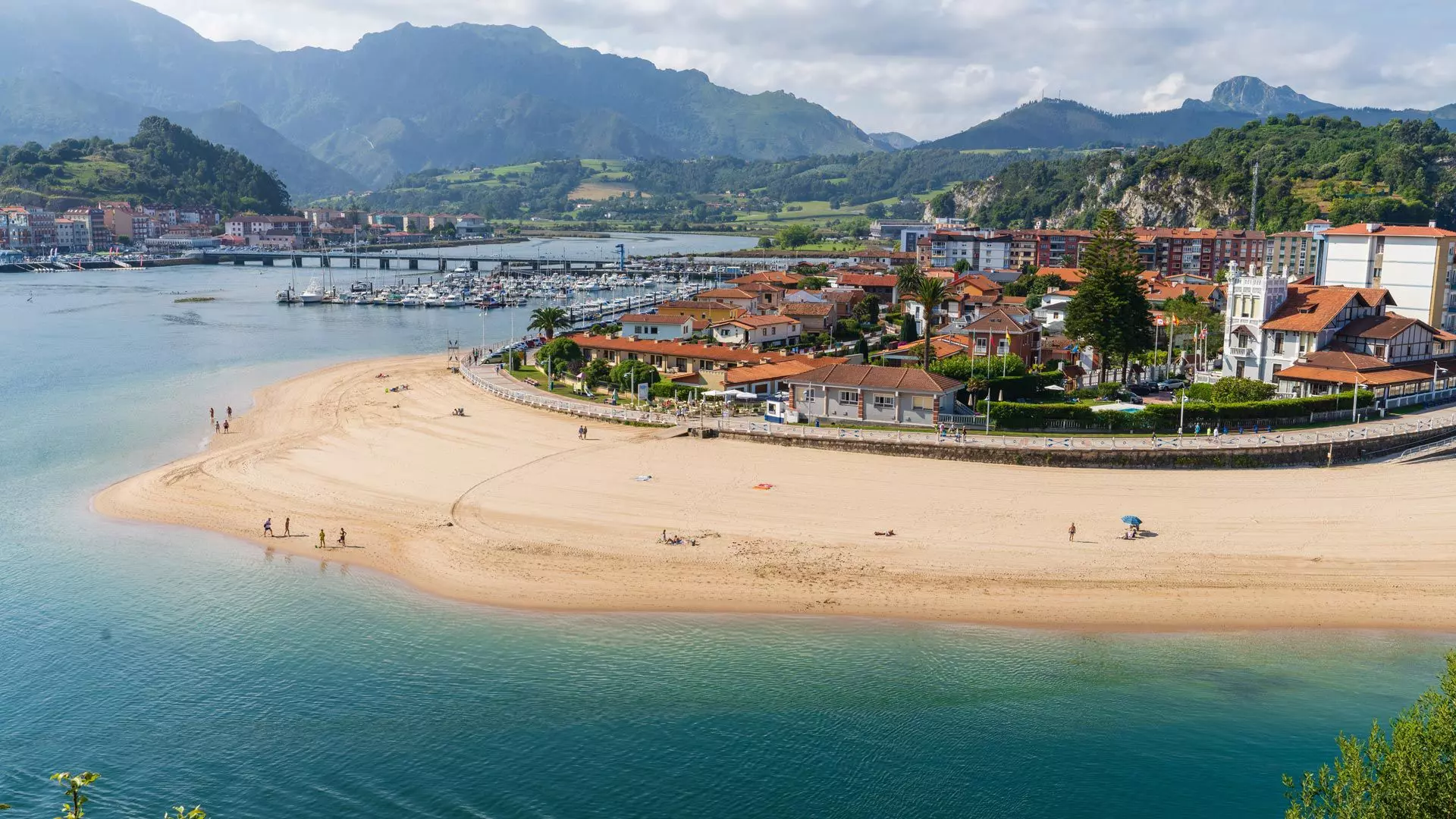 Branding y Diseño Visual